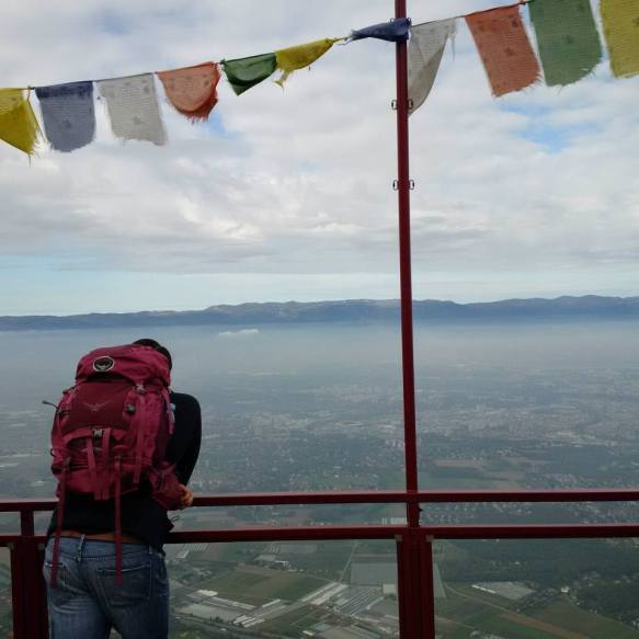 10417578_10102396661318328_549134473303405467_n