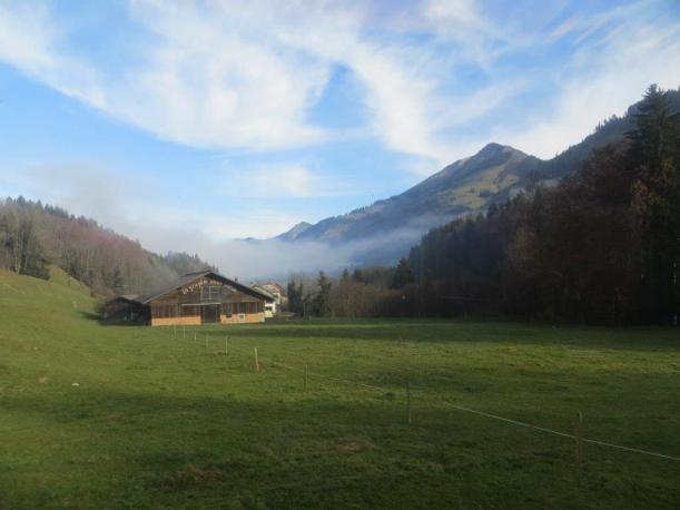 10806417_10102408193827088_54197800521351794_n