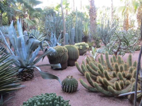 10457481_10102422751513368_4639372639648664120_n