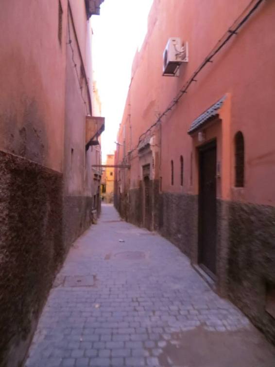 10474433_10102422750310778_8402495042799127990_n