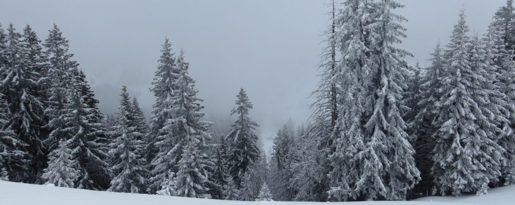 A traveler’s guide to&nbsp;gifts