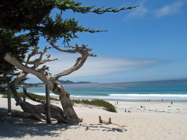 Carmel Beach, where I've taken so many walks.