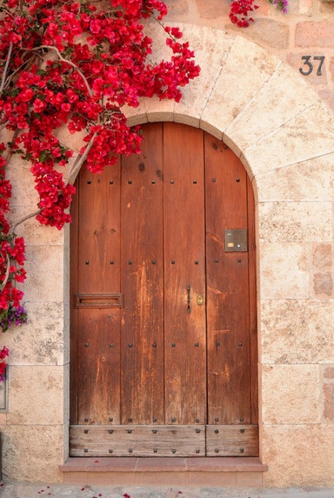 76772368617373880O6O3esEvc