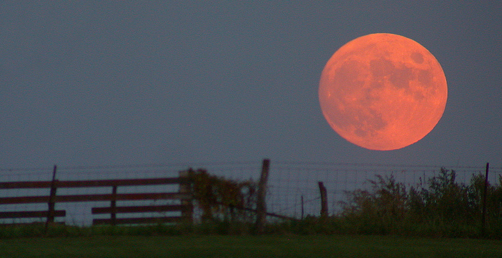 A harvest moon over Ontario.