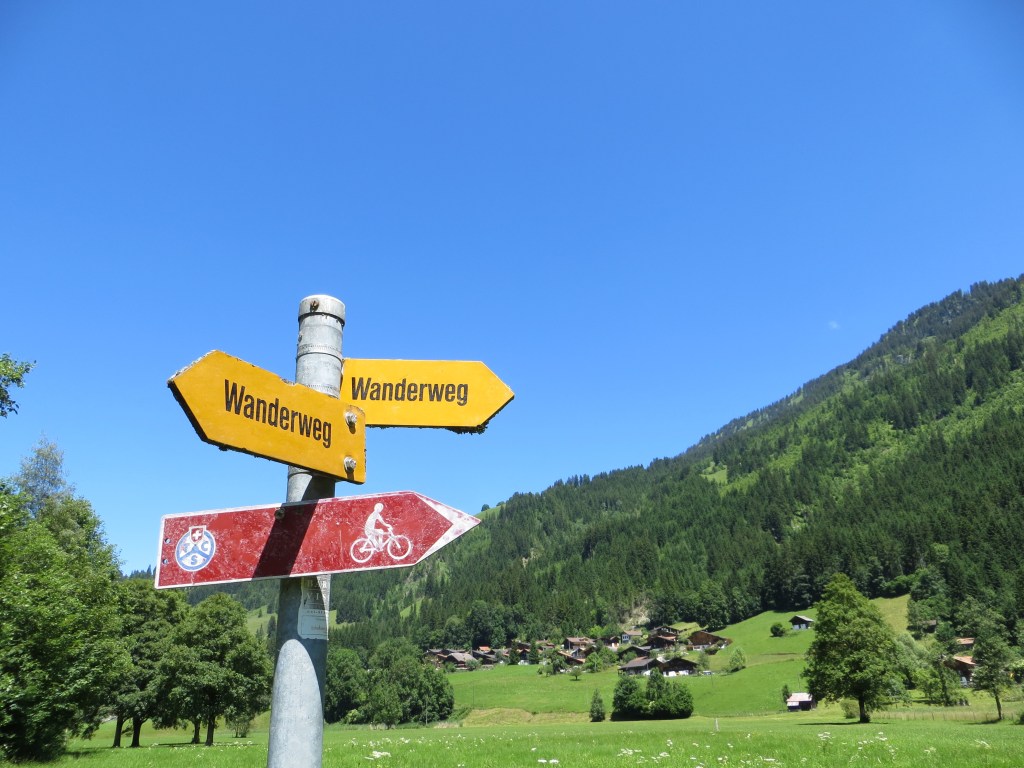 The importance of the&nbsp;unexpected